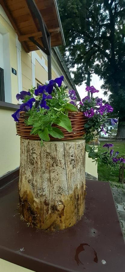 Hotel Penzion U Draci Skaly Svojse Exterior foto